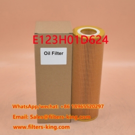 Filtre à huile E123H01D624