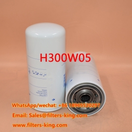 Filtre à huile H300W05