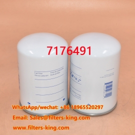 7176491 Filtre à carburant