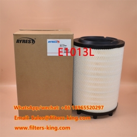 Filtre à air E1013L