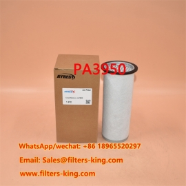 Filtre à air PA3950