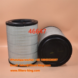 Filtre à air 46647