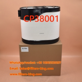 Filtres PowerCore CP38001