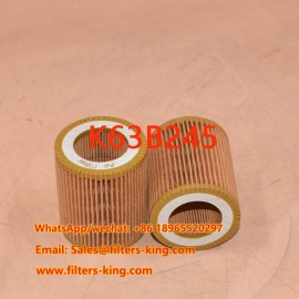 Filtre à air K63B245