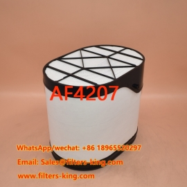 Filtre PowerCore AF4207
