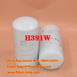 Filtre à huile H391W