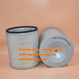 Filtre à air P181000