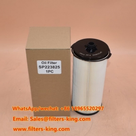 Filtre à carburant SP223825