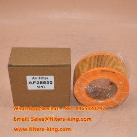 Filtre à air AF25530