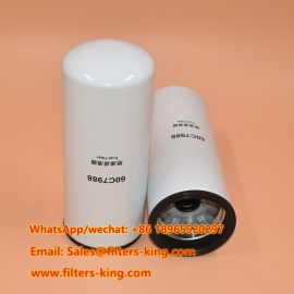 60C7988 Filtre à carburant