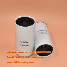 RP012031A0 Préfiltre à carburant