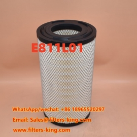 Filtre à air E811L01