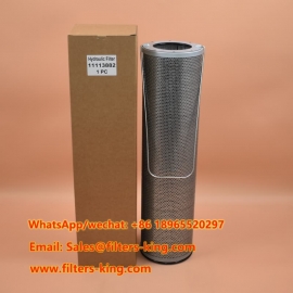 Filtre hydraulique 11113882